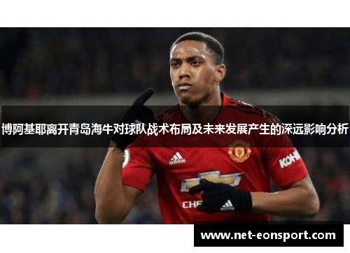 博阿基耶离开青岛海牛对球队战术布局及未来发展产生的深远影响分析