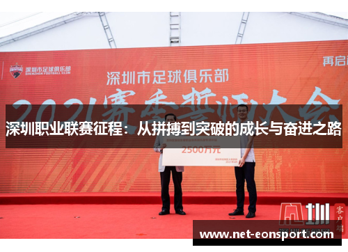 深圳职业联赛征程：从拼搏到突破的成长与奋进之路