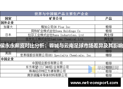 侯永永薪资对比分析：蓉城与云南足球市场差异及其影响
